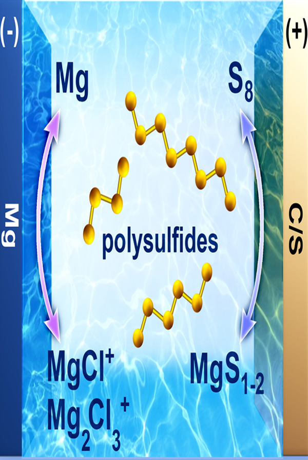 金属硫电池结构1