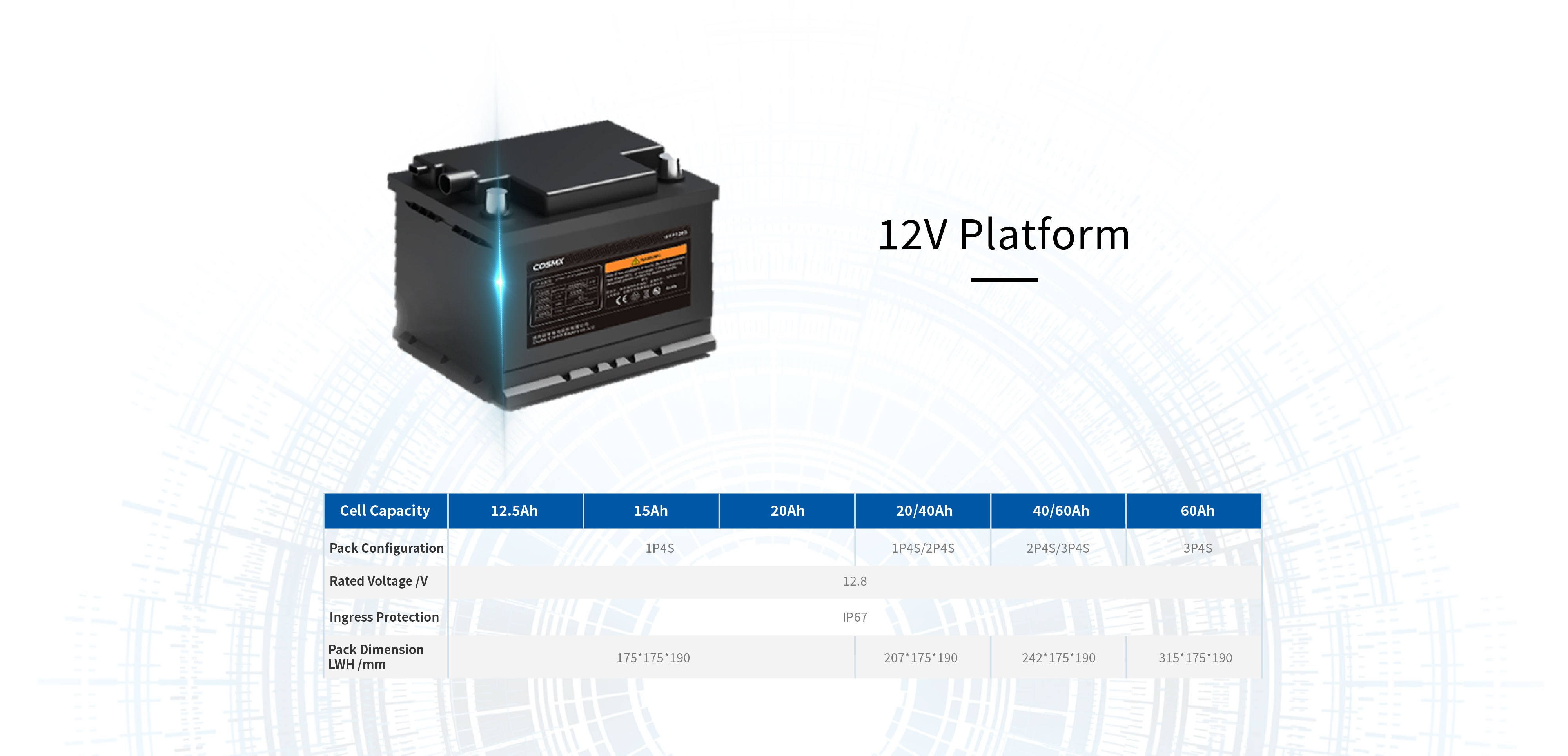Automotive Batteries